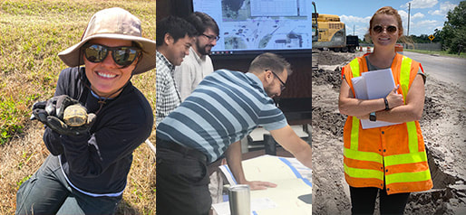 Inwood employees relocating gopher tortoises, working as team for project, and on-site at construction site.
